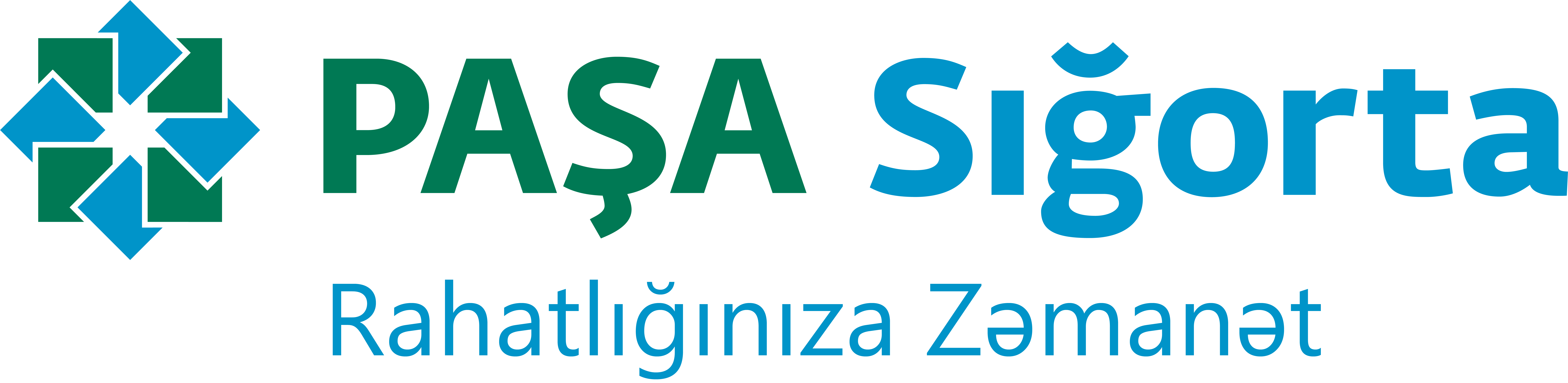 Pasha Insurance